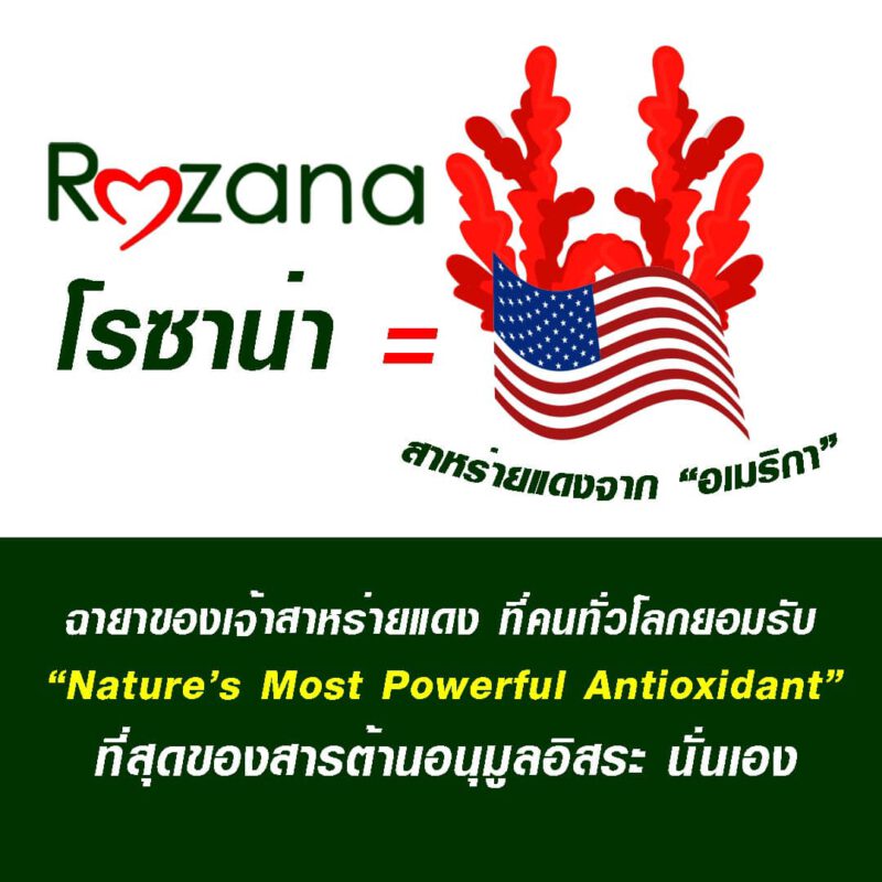 Rozana โรซาน่า บำรุงสายตา, บำรุงผิว,น้ำมันอะโวคาโด้, ลูทีน, lutein, สารสกัดดอกดาวเรือง, ซิงค์, zinc, แอสต้าแซนทีน, astaxantine, สารสกัดสาหร่ายสีแดง, แบล็คเบอรี่สกัด, blackberry