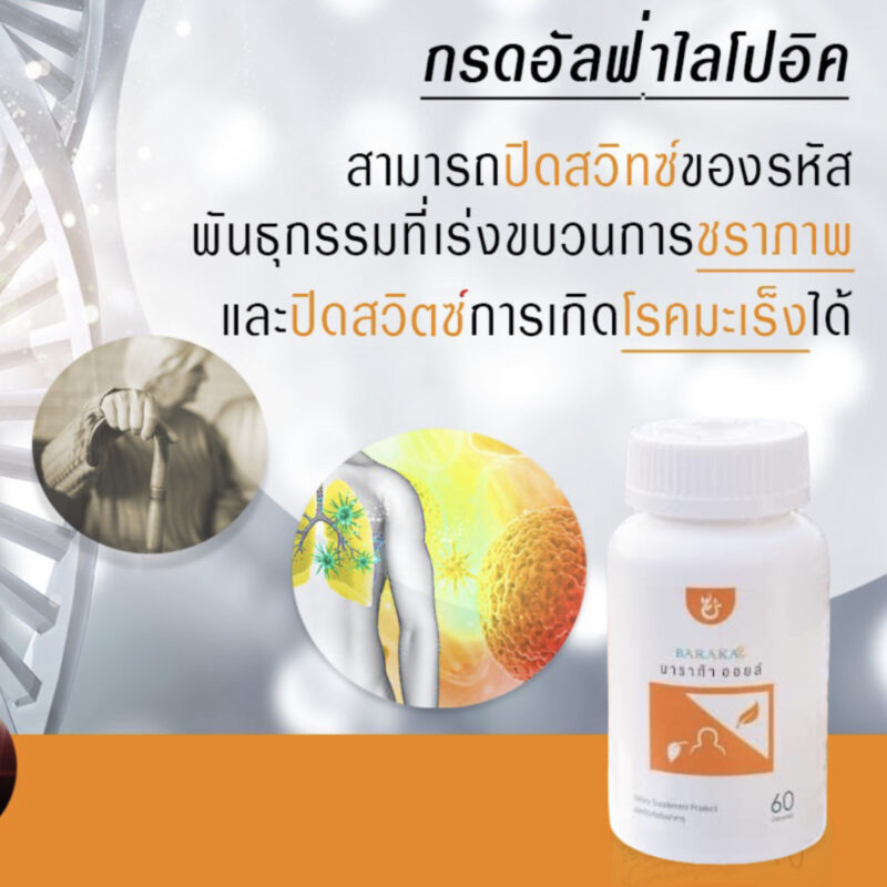 baraka oil, บาราก้าออยล์, น้ำมันกระเทียม, น้ำมันมะพร้าว, น้ำมันมะกอก, น้ำมันงา