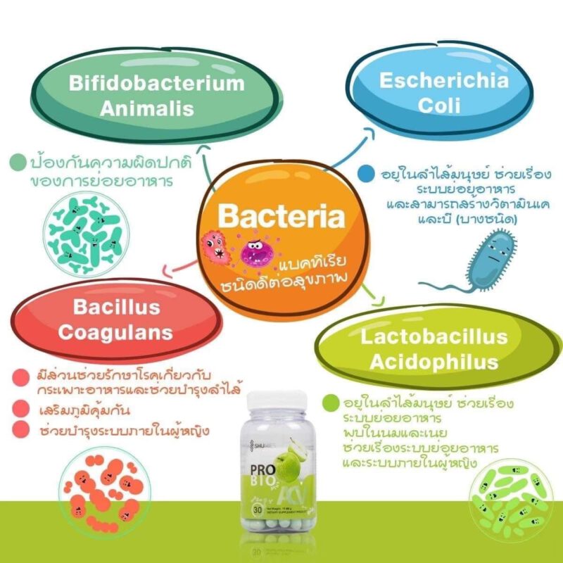 shuhada, shumies,โพรไบโอติกซ์,ซินไบโอติกส์, พรีไบโอติกซ์, apple cyder, ผงผัก 5 สี, จุลินทรีย์ดี