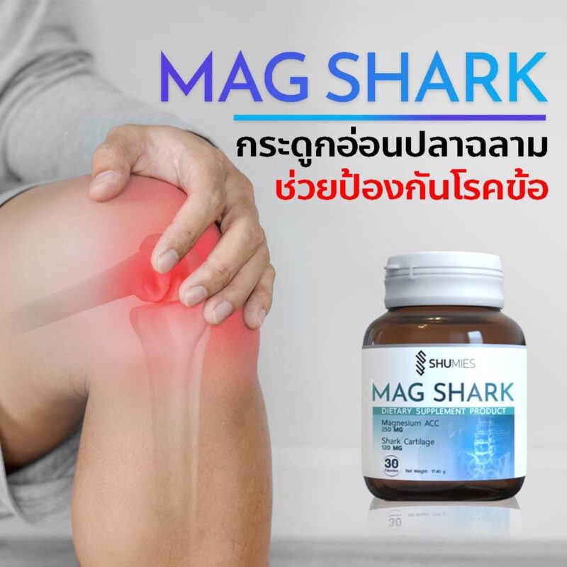 shuhada, shuhadathailand, magshark ,บำรุงกระดูก, ปวดเข่า, ดูแลข้อต่อ, กระดูกพรุน, นอนหลับยาก, ขาดแมกนีเซียม